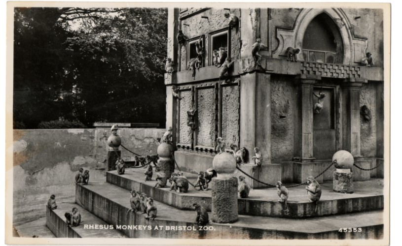 The historic Monkey Temple at Bristol Zoo Gardens, now home to an exhibit on plants